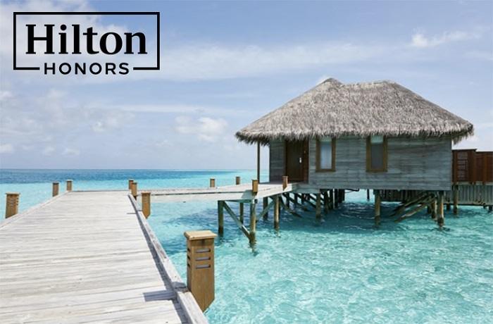 Hilton Honors Elite Statusfsghy