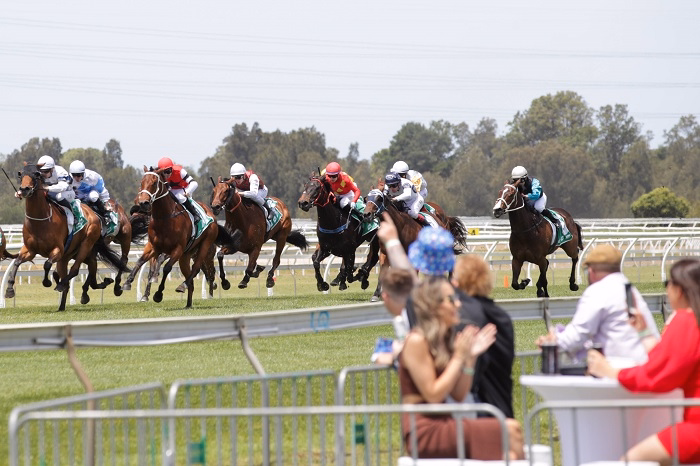 Whats Kembla Grange Race Day Like